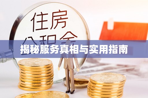 寻乌揭秘服务真相与实用指南