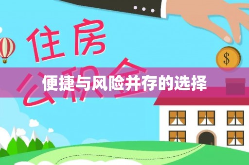寻乌便捷与风险并存的选择